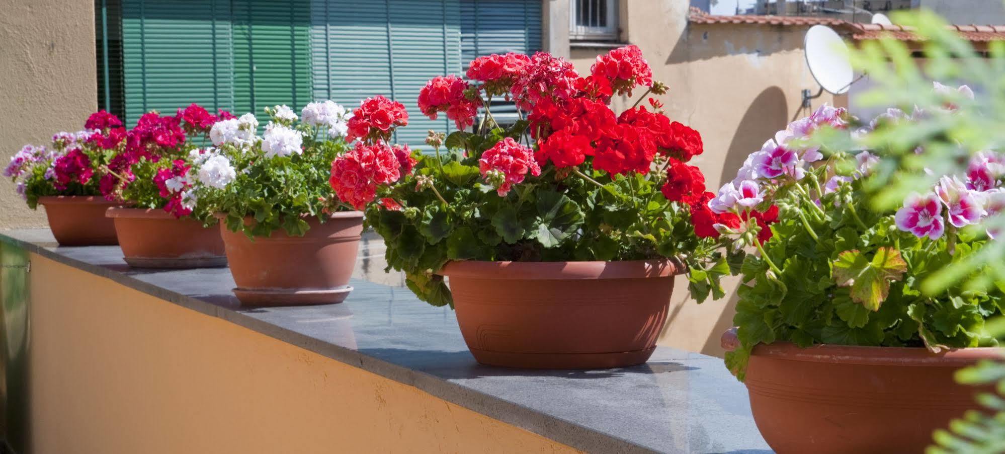 Apartament Tetto Fiorito Castellammare di Stabia Zewnętrze zdjęcie