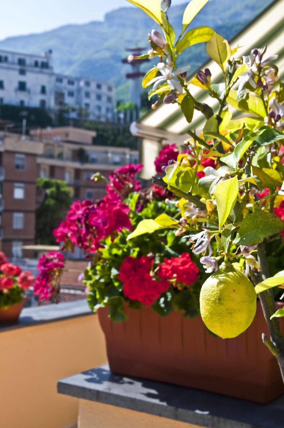 Apartament Tetto Fiorito Castellammare di Stabia Zewnętrze zdjęcie